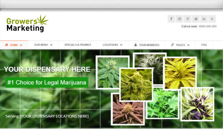 custom-cannabis-website-design-2
