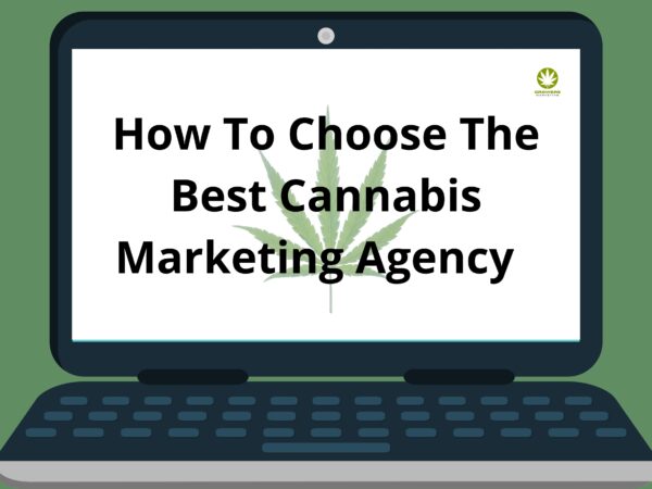 How To Choose The Best Cannabis Marketing Agency