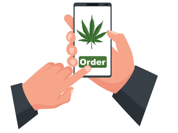 How Can User-Centered Design Improve the Cannabis App Experience?