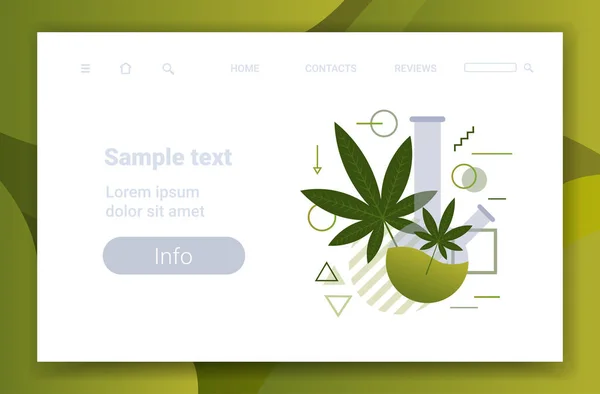 Transform Your Cannabis Brand with Creative Website Design
