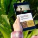 dispensary website design agency
