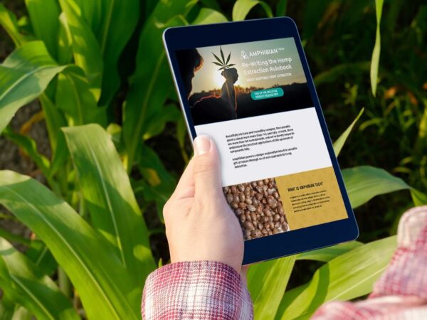 10 Best Practices for SEO-Friendly Cannabis Web Design